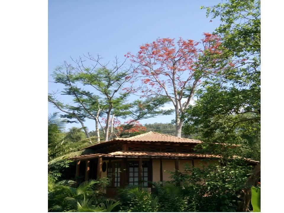 Holiday home D'agua Temporada